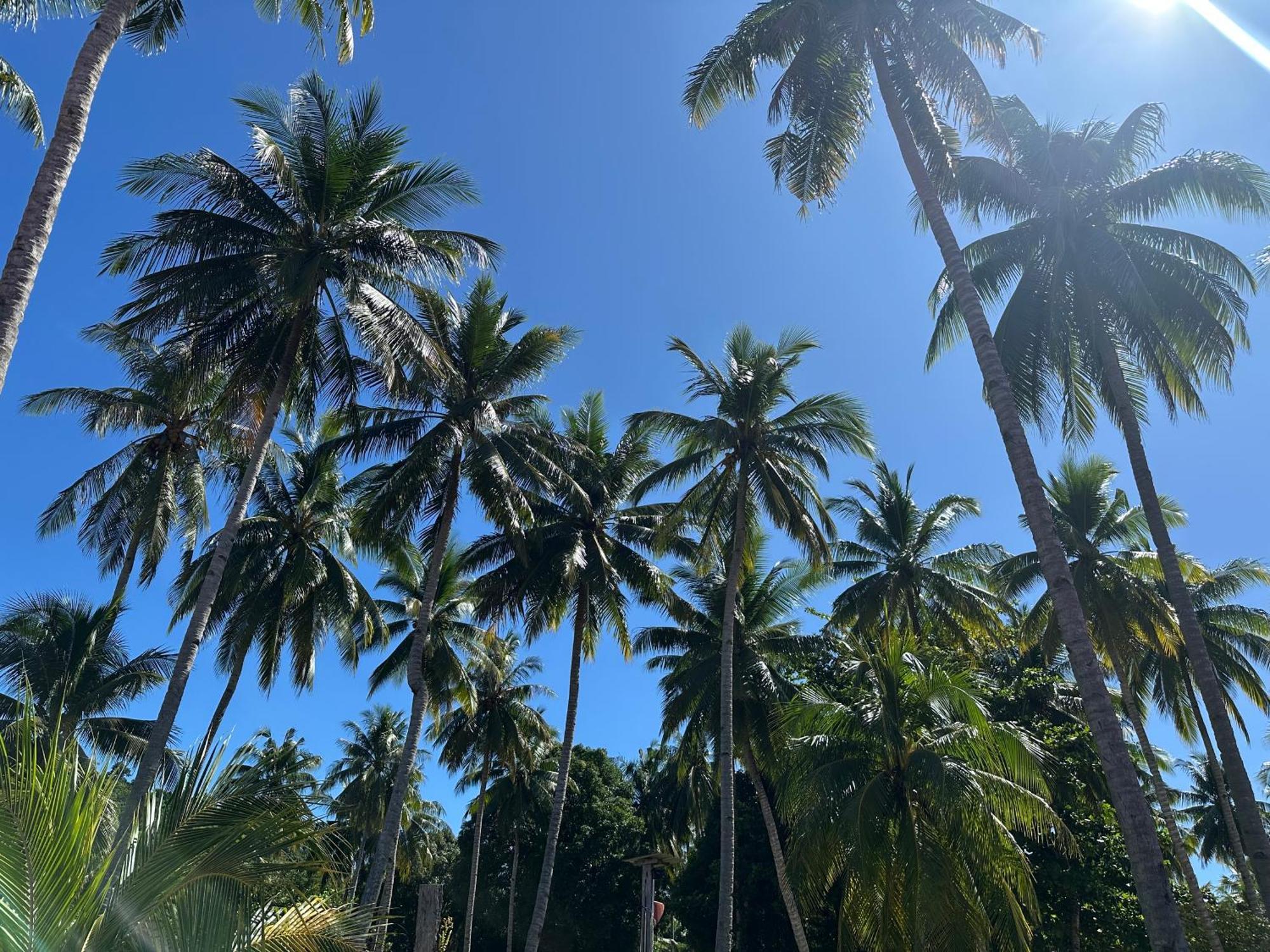 Mooi Park Hotell Sorong Eksteriør bilde